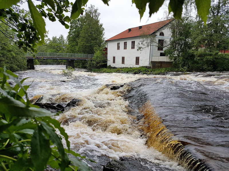 Välkommen på Laxens dag vid Testeboån 30 juni