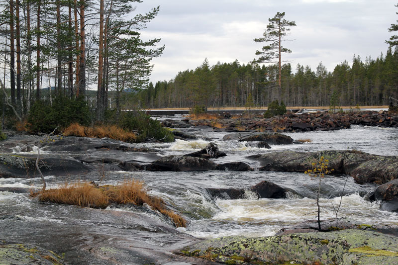 90 miljoner till vatten- och fiskevård i Jämtlands och Gävleborgs län