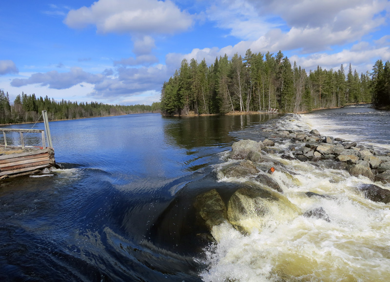 Äntligen befrias Långforsen