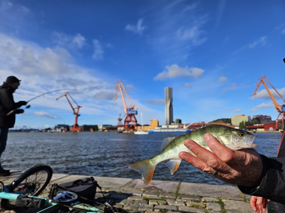 Göteborren 2024 är avgjord