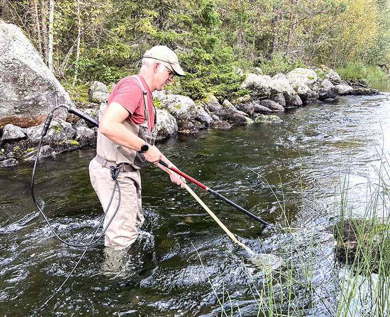 Öringjakt i Jämtland – med både hoppfulla och dystra resultat