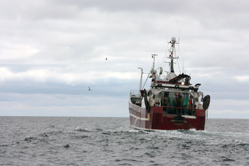 Lovande ambitioner i regeringens havsmiljöproposition