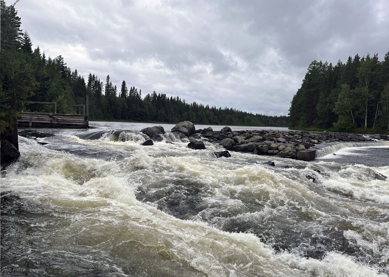 Historiska händelsen - Långforsen återställs efter decennier av kamp