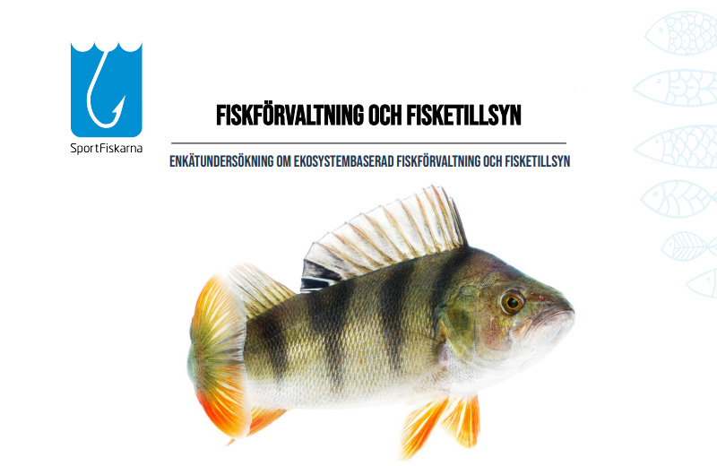 Ny rapport från Sportfiskarna: Det behövs mer fisketillsyn