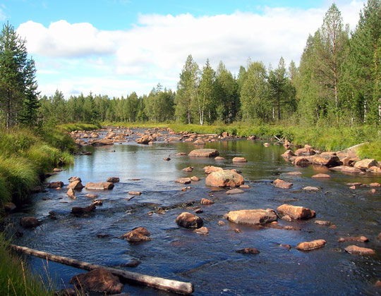 Kalkningen viktig för sportfisket i Värmland